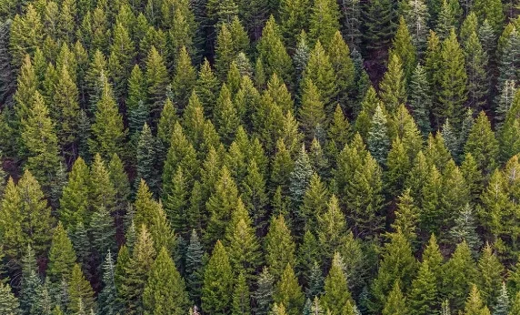 Protecting Our Environment