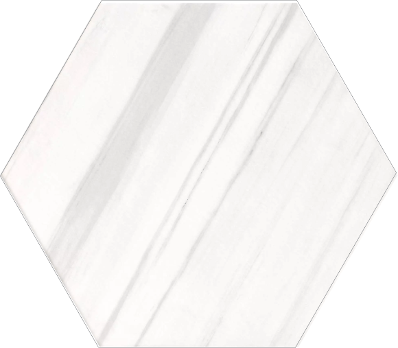 Dolomite Porcelain satin hexagon deco tile XL – 22×19